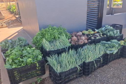 Seap realiza doação de mais de 200 kg de alimentos