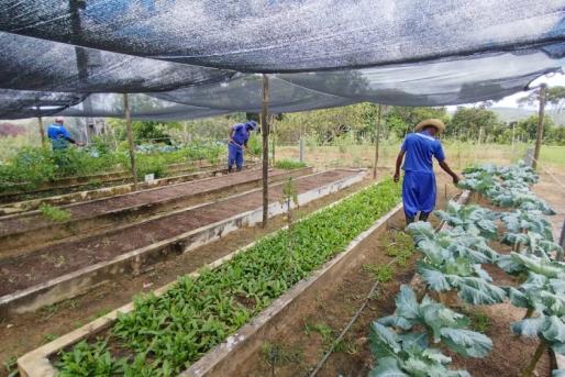 Trabalho, cultura, solidariedade e esperança transformam vidas no Conjunto Penal de Valença