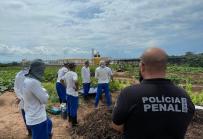 Internos do Conjunto Penal de Barreiras aprendem práticas agroecológicas 