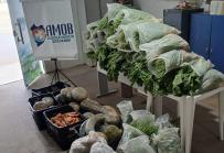 Mais de 700 quilos de alimentos são doados pela Seap no oeste baiano