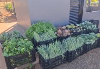 Seap realiza doação de mais de 200 kg de alimentos