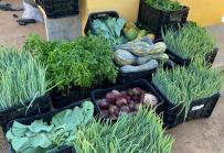 Projeto da Seap doa quase 200 kg de alimentos a instituição de caridade em Barreiras