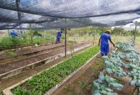 Trabalho, cultura, solidariedade e esperança transformam vidas no Conjunto Penal de Valença