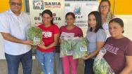 Alimentos cultivados em presídios são distribuídos para famílias em vulnerabilidade social, como parte do programa Bahia sem Fome 