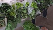 Conjunto Penal de Barreiras doa mais de 300 quilos de hortaliças e verduras orgânicas