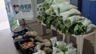 Mais de 700 quilos de alimentos são doados pela Seap no oeste baiano