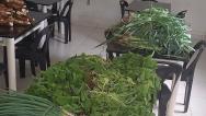 Conjunto Penal de Barreiras doou mais 100 kg de alimentos para instituição de caridade