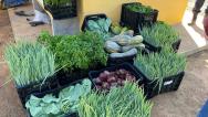 Projeto da Seap doa quase 200 kg de alimentos a instituição de caridade em Barreiras