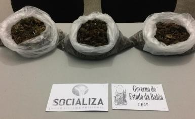 Procedimento de Revista após visita no CPLF apreende 2,5kg de maconha