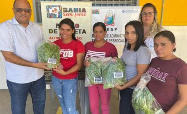 Alimentos cultivados em presídios são distribuídos para famílias em vulnerabilidade social, como parte do programa Bahia sem Fome