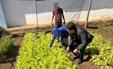 Horta do Conjunto Penal de Jequié segue com produtividade em alta