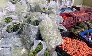 Seap doa três toneladas de alimentos para assistidos no Bahia Sem Fome em Barreiras