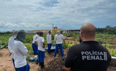Internos do Conjunto Penal de Barreiras aprendem práticas agroecológicas 