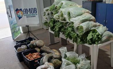 Mais de 700 quilos de alimentos são doados pela Seap no oeste baiano