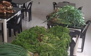 Conjunto Penal de Barreiras doou mais 100 kg de alimentos para instituição de caridade