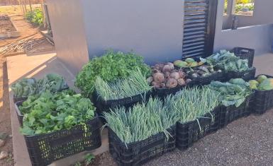 Seap realiza doação de mais de 200 kg de alimentos