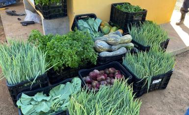 Projeto da Seap doa quase 200 kg de alimentos a instituição de caridade em Barreiras