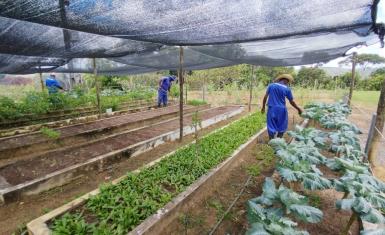 Trabalho, cultura, solidariedade e esperança transformam vidas no Conjunto Penal de Valença